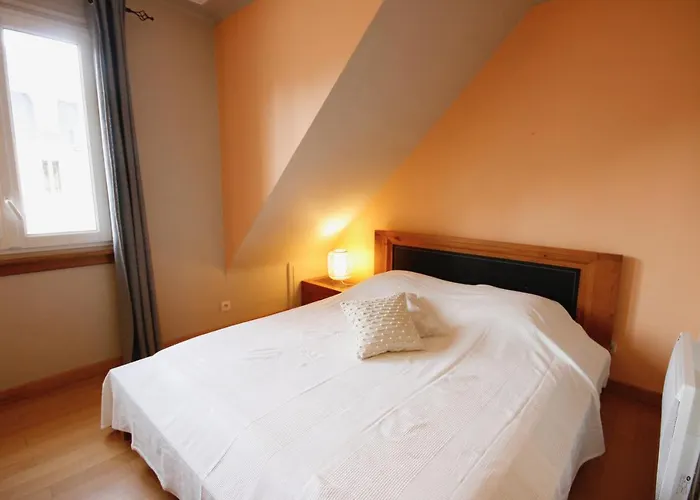 Schweitzer Lägenhet Colmar